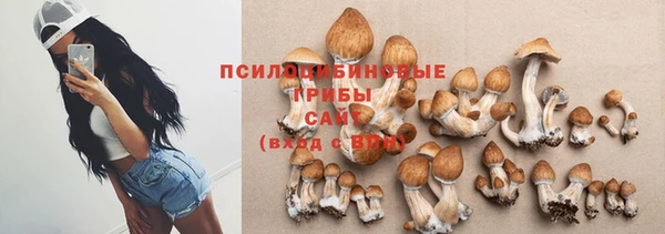 альфа пвп Володарск