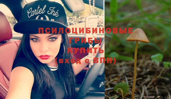 прущая мука Верея