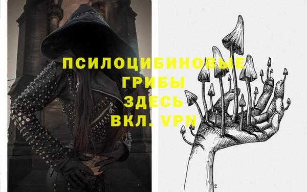 стаф Волосово